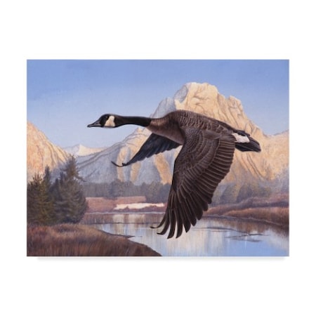 Rusty Frentner 'Goose Mountain' Canvas Art,18x24